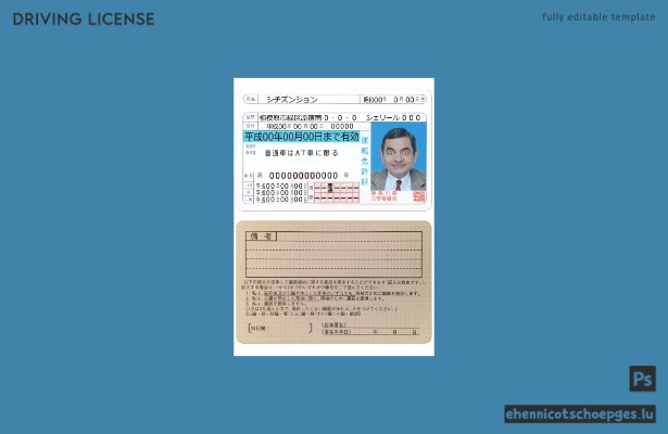 Japanischer Führerschein Version 2 – Beispielvorschau